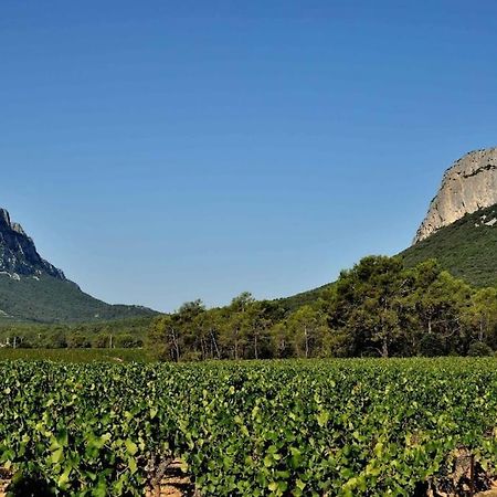 Gite Du Pic Saint Loup Valflaunes Экстерьер фото